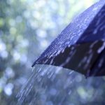 Susan Wilklow’s Case for Umbrella Insurance